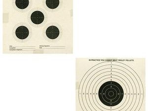 Bisley Double Sided Paper Targets