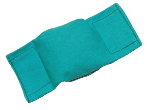 Bisley Beanbag Puppy Dummy Green