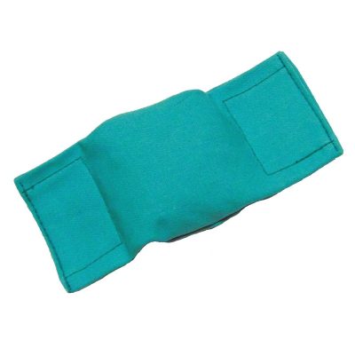 Bisley Beanbag Puppy Dummy Green