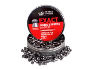 JSB Exact Jumbo Express .22