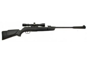 Gamo Whisper Sting