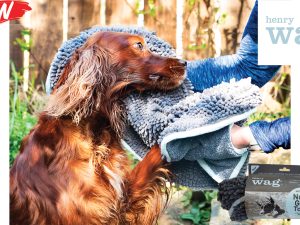 Henry Wag Microfibre Noodle Glove Towel
