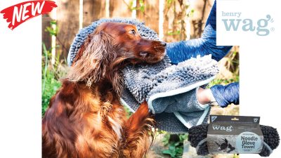 Henry Wag Microfibre Noodle Glove Towel