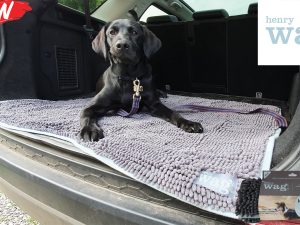 Henry Wag Microfibre Noodle Pet Mat