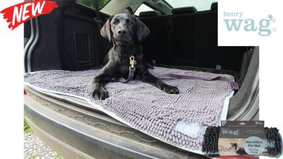 Henry Wag Microfibre Noodle Pet Mat