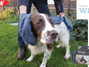 Henry Wag Microfibre Pet Towel Glove