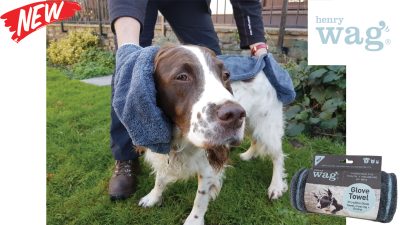 Henry Wag Microfibre Pet Towel Glove