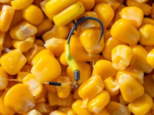 Korda - Tinned Sweetcorn 2.15kg